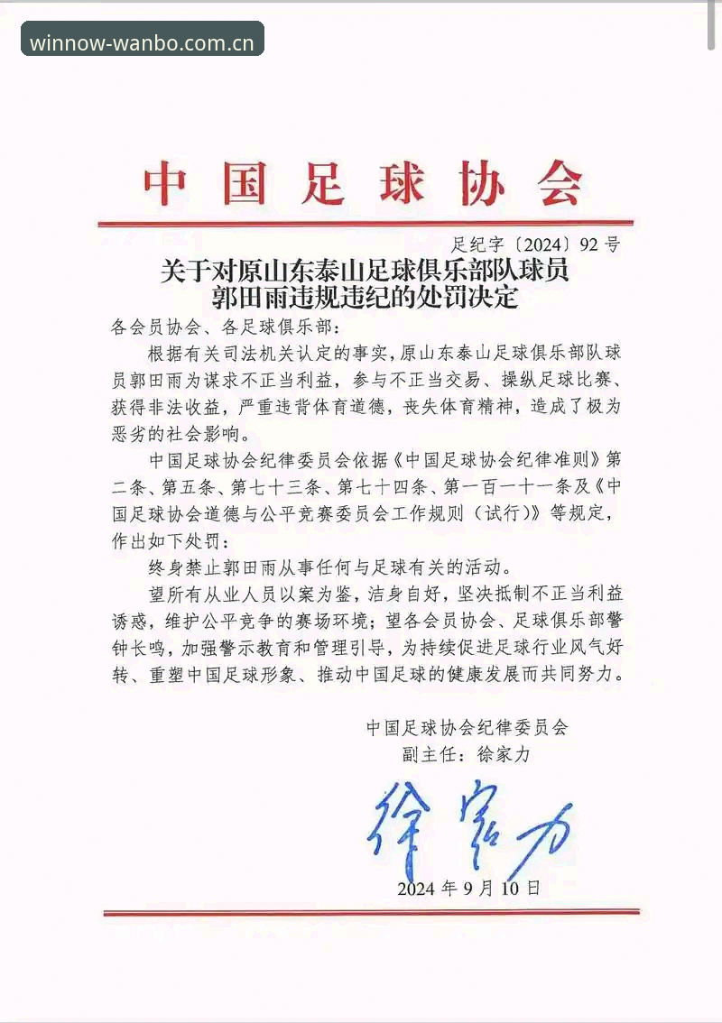 足协第三批禁足名单详解：17人终身禁赛背后的行业震荡